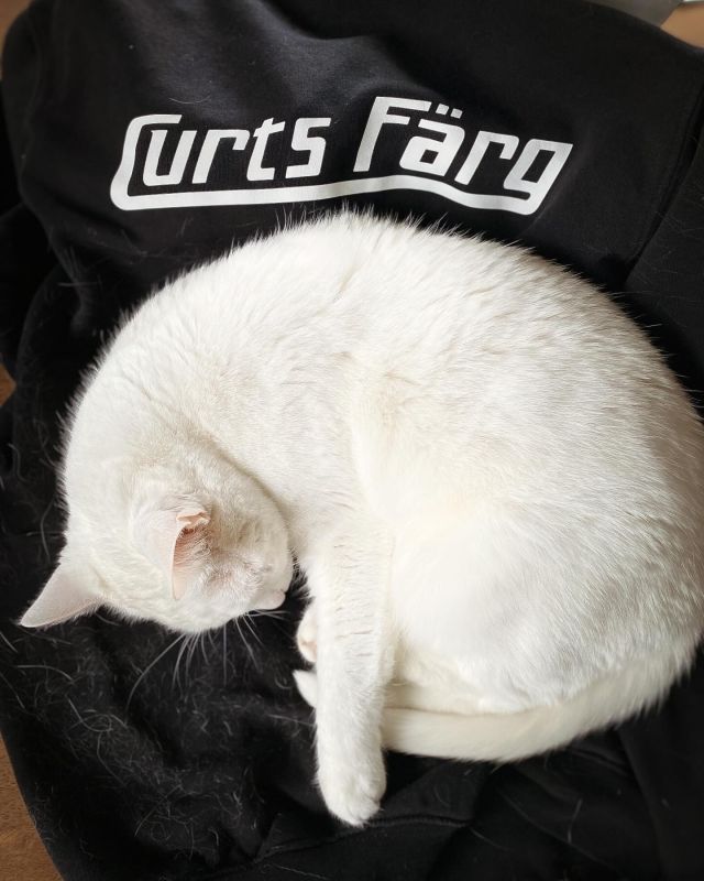 När man vill ha hög kvalitet…👌🏼🐈 #curtsfärg
Öppet idag 10-13.
.
#nybrosäldstafärghandel #kvalitetsfärg #kvalitetförekvantitet #endastkvalité #handlalokalt #nybro
