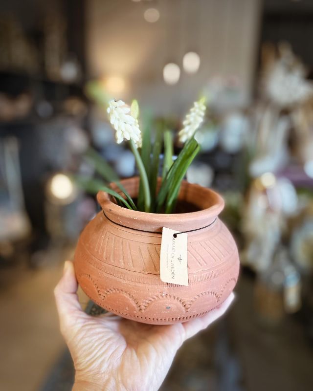 Superklipp!
Kruka NU 50kr!
.
#curtsfärg #nybrosäldstafärghandel #nybro #handlalokalt #inredning #affari